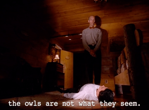 TP s02 owls are not what - Copy