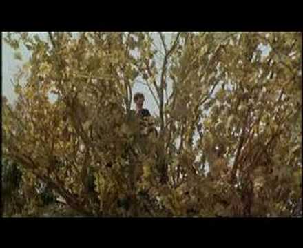 Youtube: Federico Fellini - Amarcord