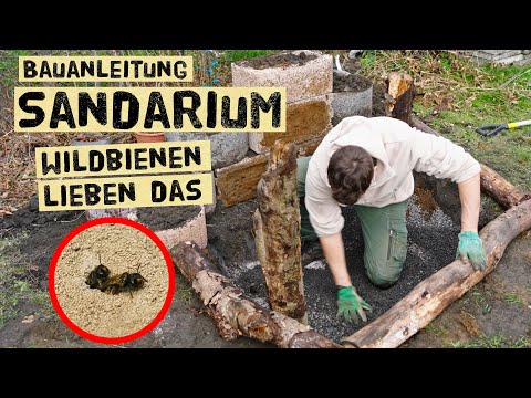 Youtube: Lebensraum für Wildbienen in jedem Garten schaffen - Bauanleitung Sandarium