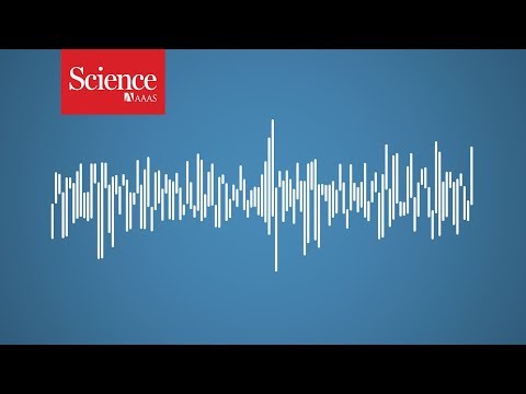 Youtube: One of the loudest underwater sounds is made by an animal you wouldn’t expect