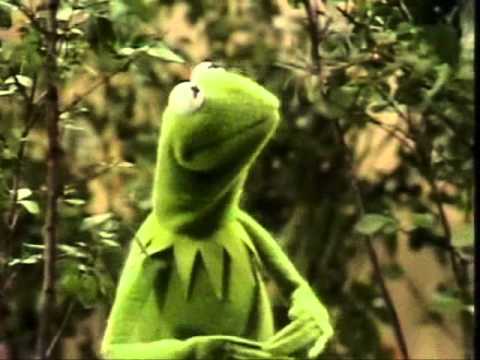 Youtube: Muppets - Kermit - Its not easy being green (original)