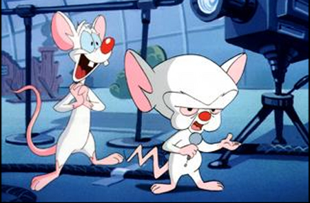 /dateien/79812,1318354764,pinky and the brain