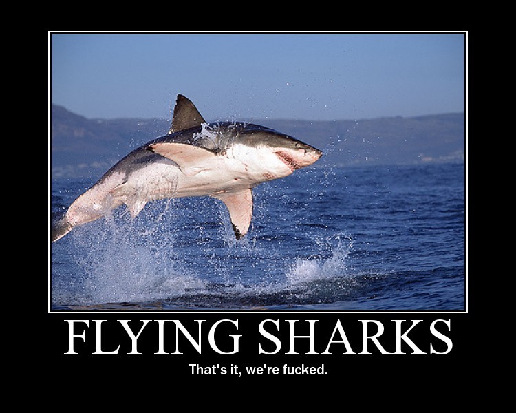 /dateien/mg33471,1223464767,flying-sharks