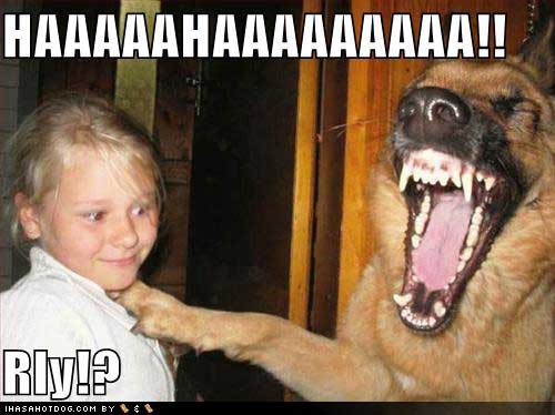 /dateien/uh56624,1259673745,funny-dog-pictures-laughing-at-little-girl