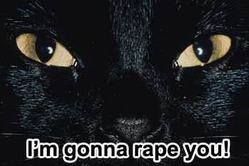 /dateien/uh56624,1259674304,cat-rape-you