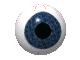 eye 0