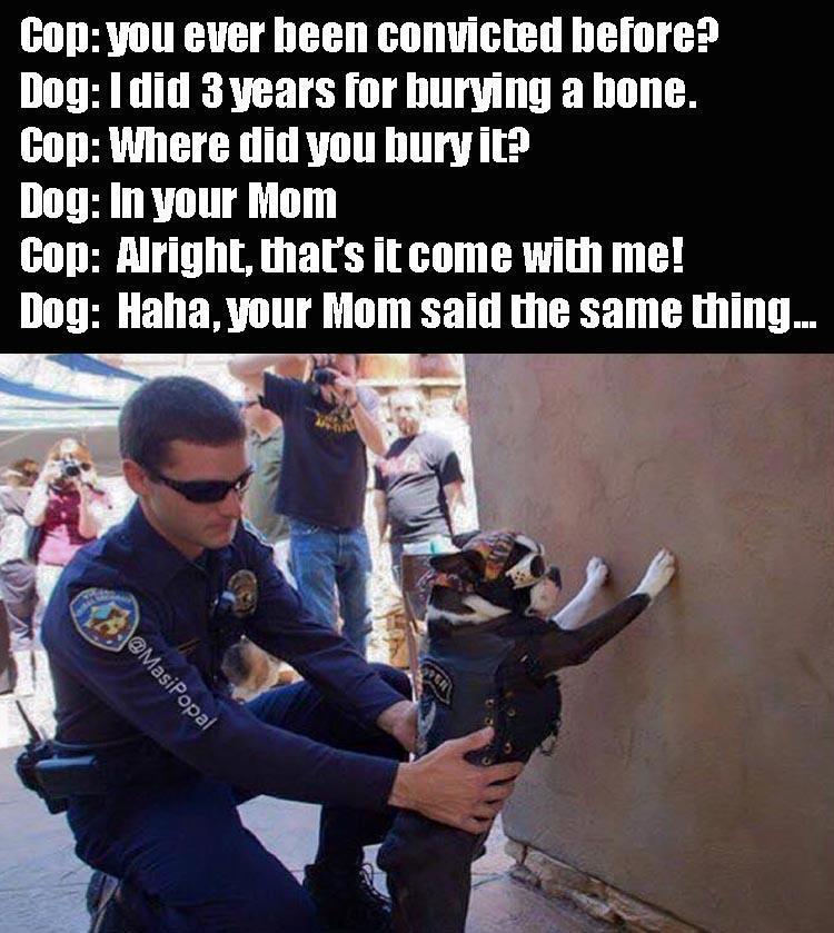 copdog