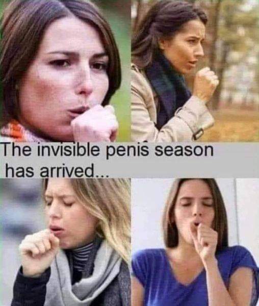 Invisible Penis