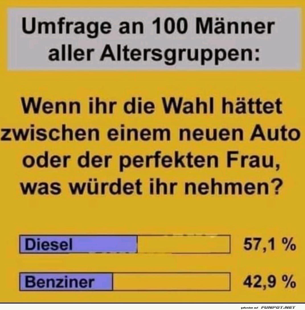 Die Wahl