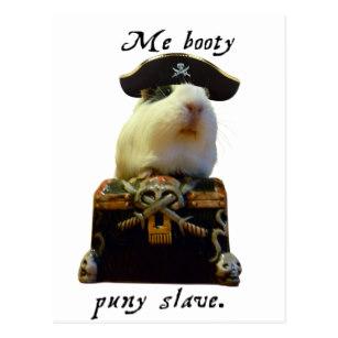 guinea pig funny pirate postcard-rb2163d