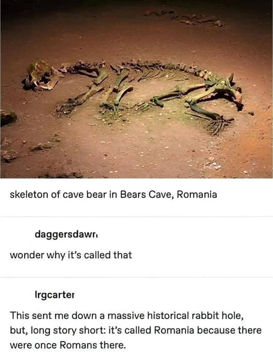 bearscave