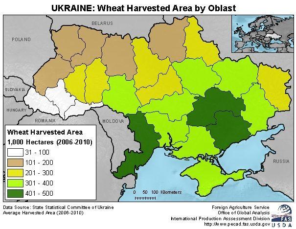 Ukraine Wheat Web Area Map