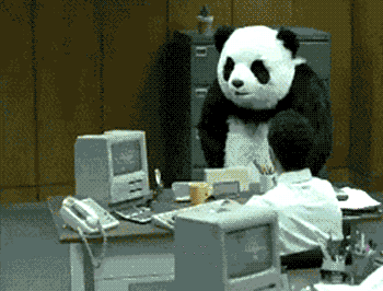 panda-computer-gif