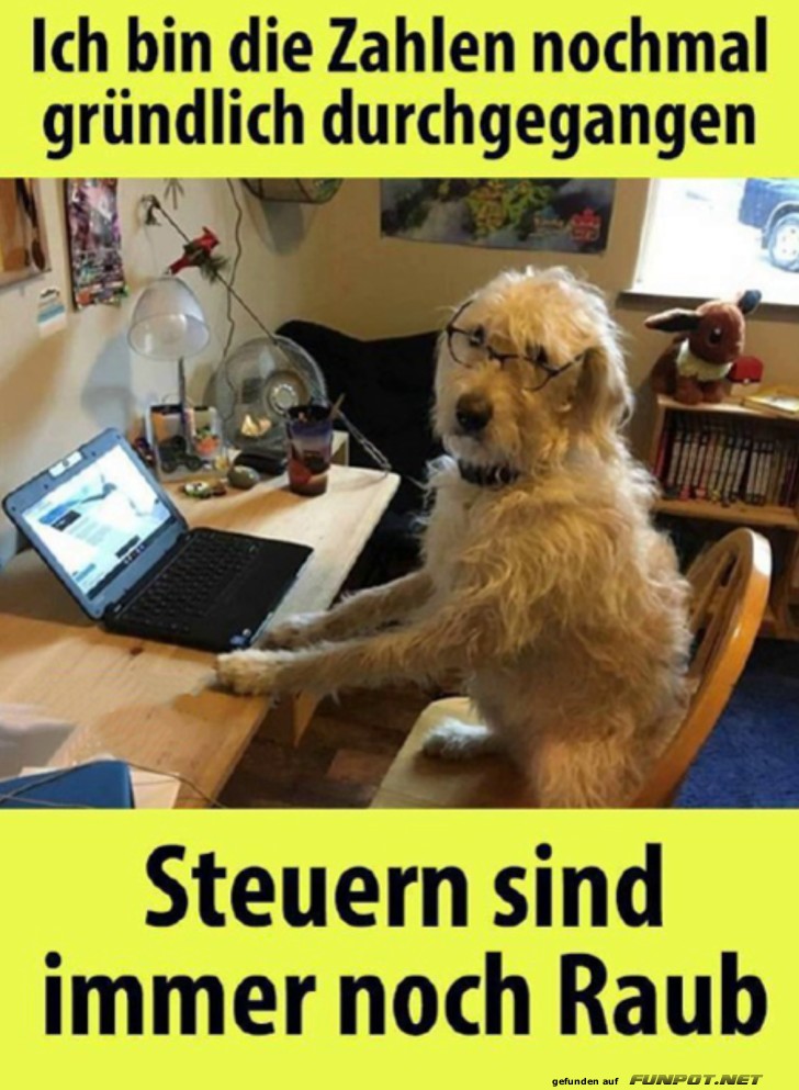 Steuern-1