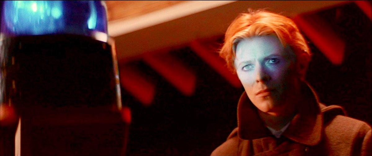 Man Who Fell to Earth David Bowie - Copy