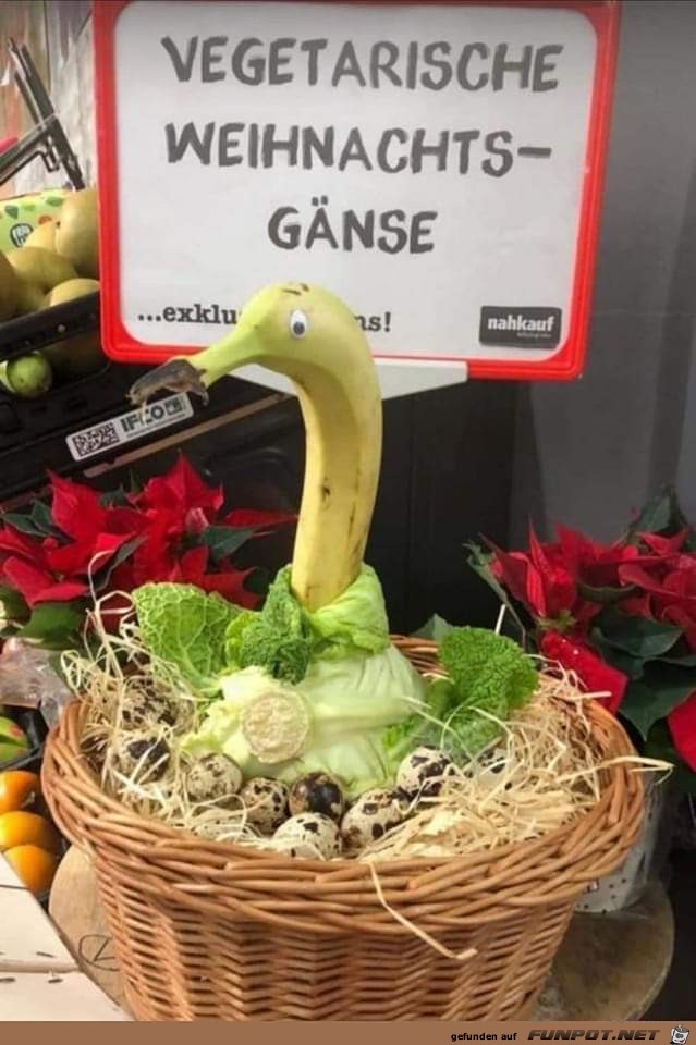 Vegetarische Weihnachtsgaense