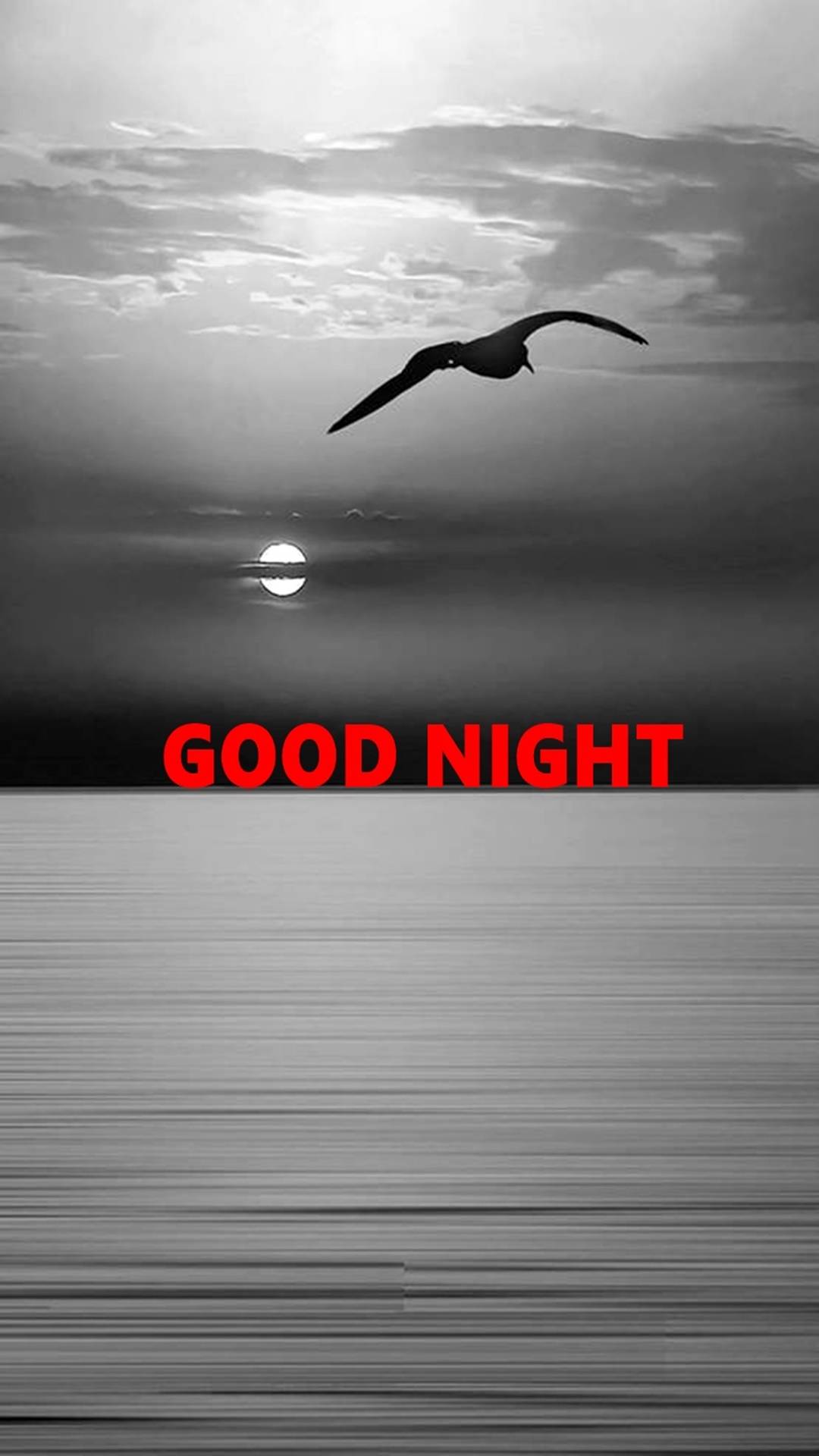 Good Night-55788288-7685-3515-acb4-f4e13
