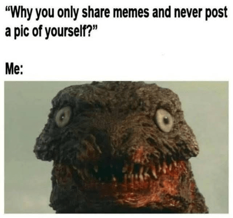 why-only-share-memes-and-never-post-pic-