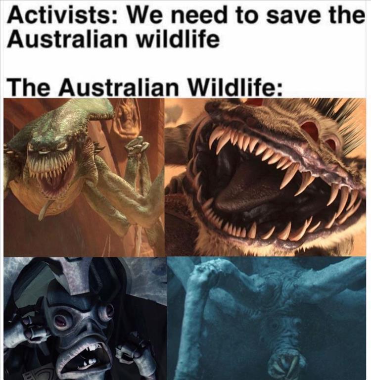 australia