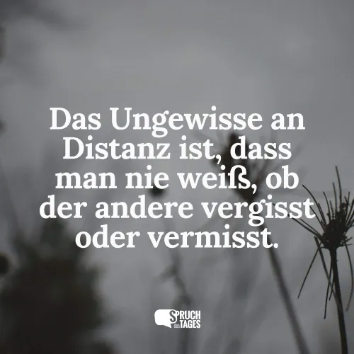 das-ungewisse-an-distanz-ist-dass-man-ni.webp