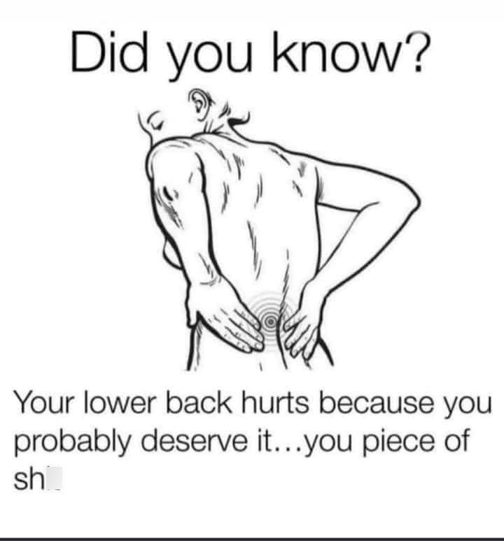 did-know-lower-back-hurts-because-probab