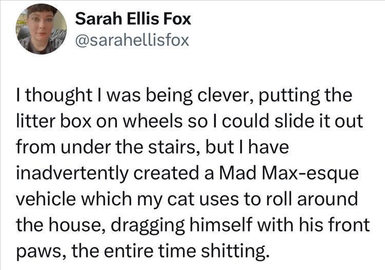 mad max cat