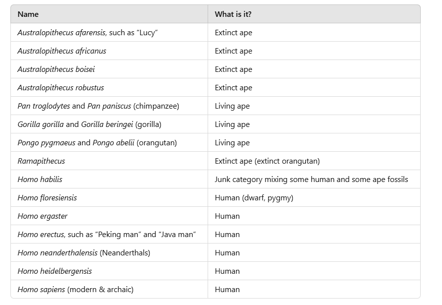 Tabelle Menschen und Affen