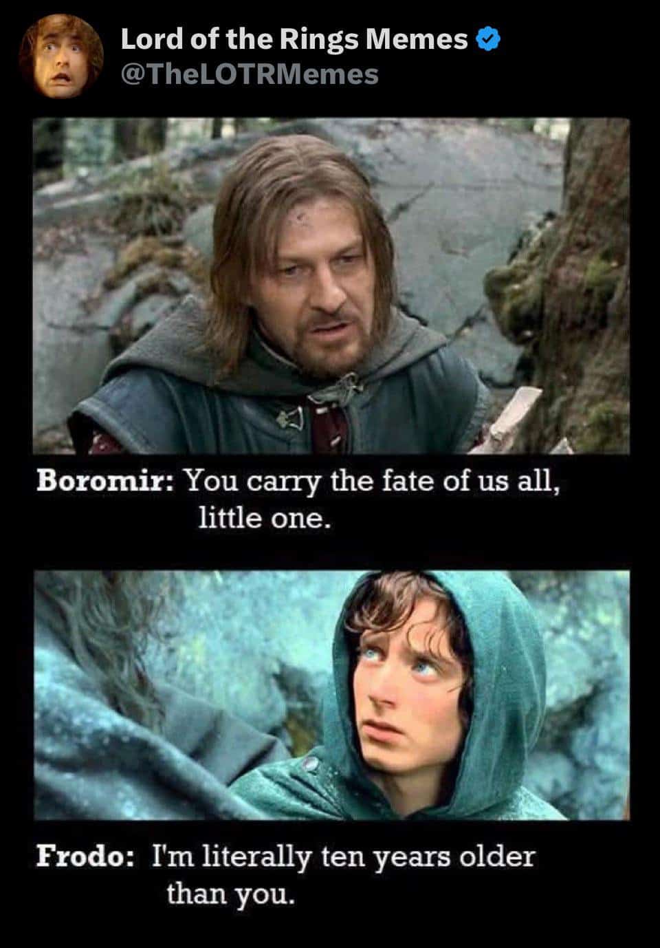 funniest-lord-of-the-rings-memes-2-2