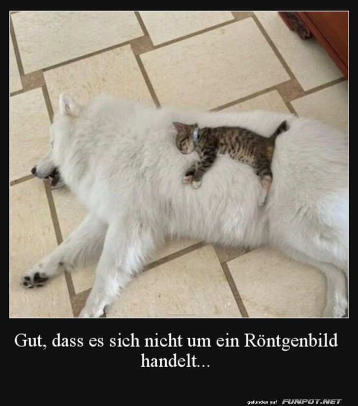 Kein Roentgenbild