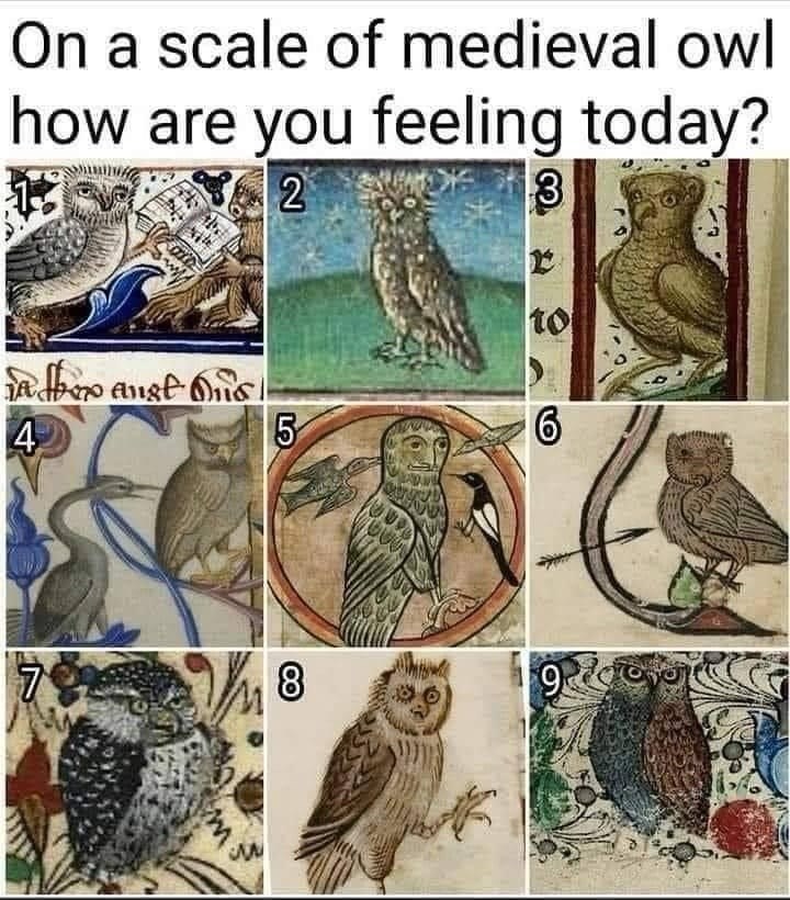 on-scale-medieval-owl-are-feeling-today-