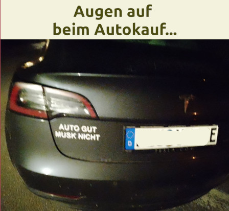 auto gut musk nicht