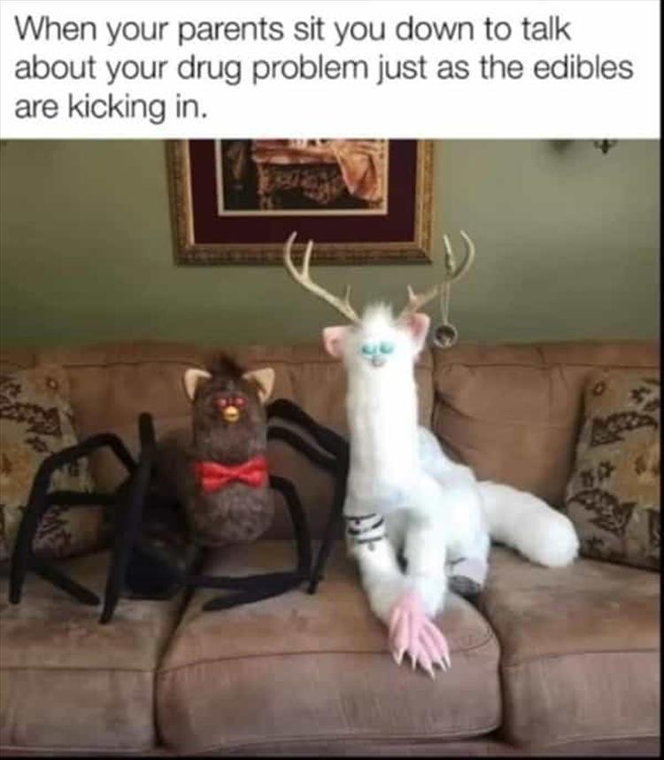 edibles