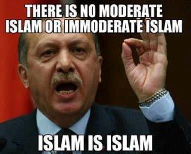 erdogan there is no moderate islam