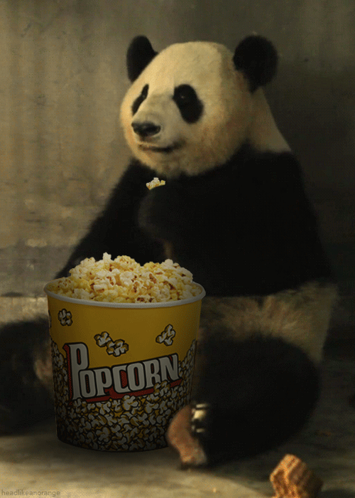 ani-mm popcorn panda
