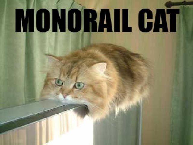 monorail-cat1