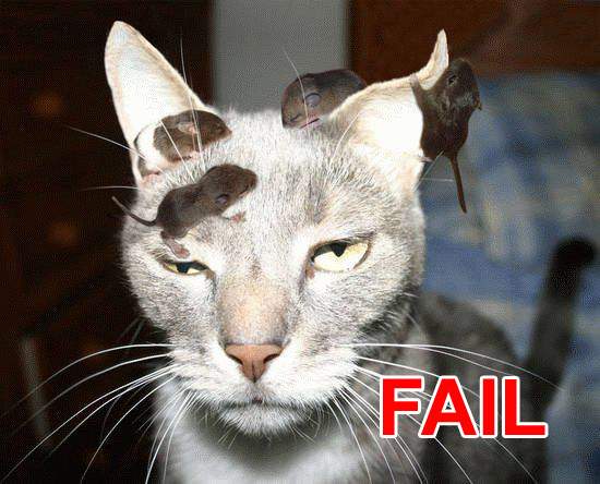 fail cat2
