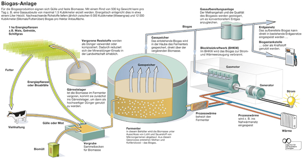 funktion-biogasanlage