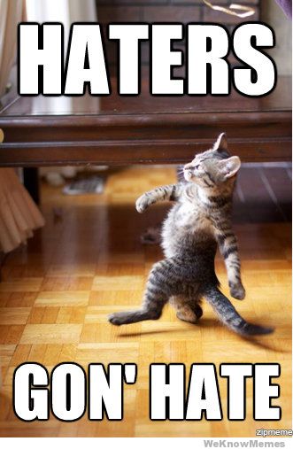 haters-gonna-hate-cat