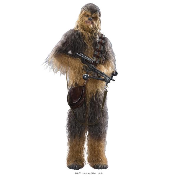 Chewie Sq grande