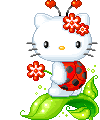 hello kitty picture-11