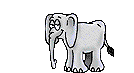 elefant04