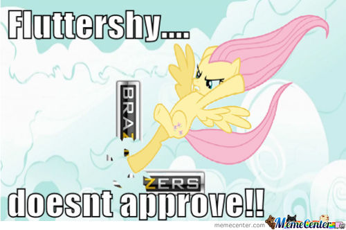 fluttershy-doesnt-approve o 530374