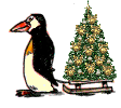pinguin 0016