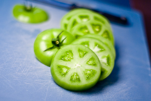 green tomato gratin-4