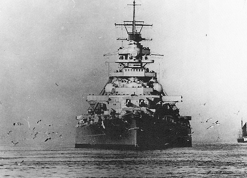 temporary king  the bismarck battleship 