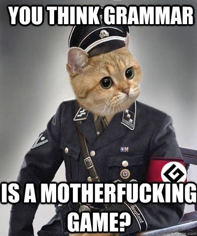 you-think-grammar-is-a-motherfucking-gam