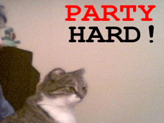 d61ba8 Partyhardcat
