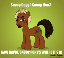 186941  safe ponified snoop-dogg artist-