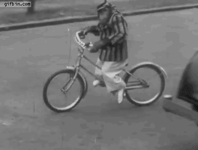 1319650684 monkey riding a bike