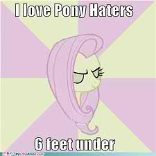 Love-and-tolerate-eh-my-little-pony-frie